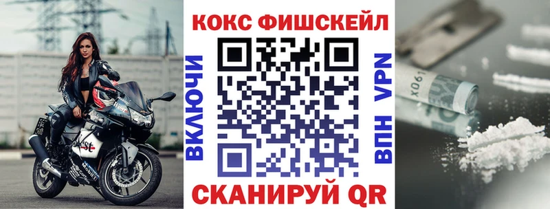 Купить закладки  Мосальск  Cocaine Fish Scale 