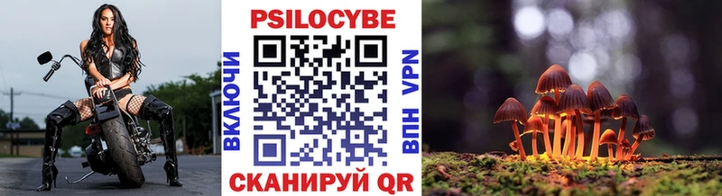 Купить закладки  Мосальск  Псилоцибиновые грибы мицелий 